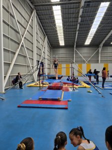 8 de octubre Campeonato de Gimnasia Artística