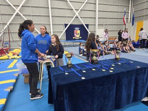 8 de octubre Campeonato de Gimnasia Artística