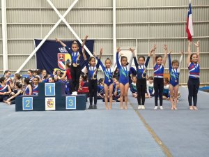 8 de octubre Campeonato de Gimnasia Artística