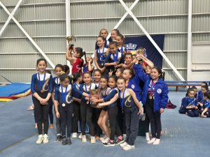 8 de octubre Campeonato de Gimnasia Artística