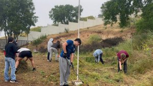 18,19,20 Trabajos de octubre