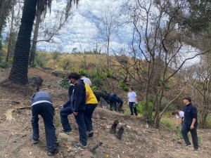 7 noviembre Dif Argumentación y participación en democracia Jardín Botán