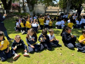 19 de noviembre Articulación