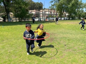 19 de noviembre Articulación