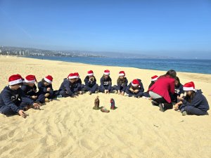 20 diciembre Saludo Navidad